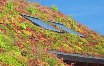 Green Hammerton living roof systems