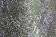 Green Hammerton fibreglass roof work