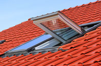 Green Hammerton roof window